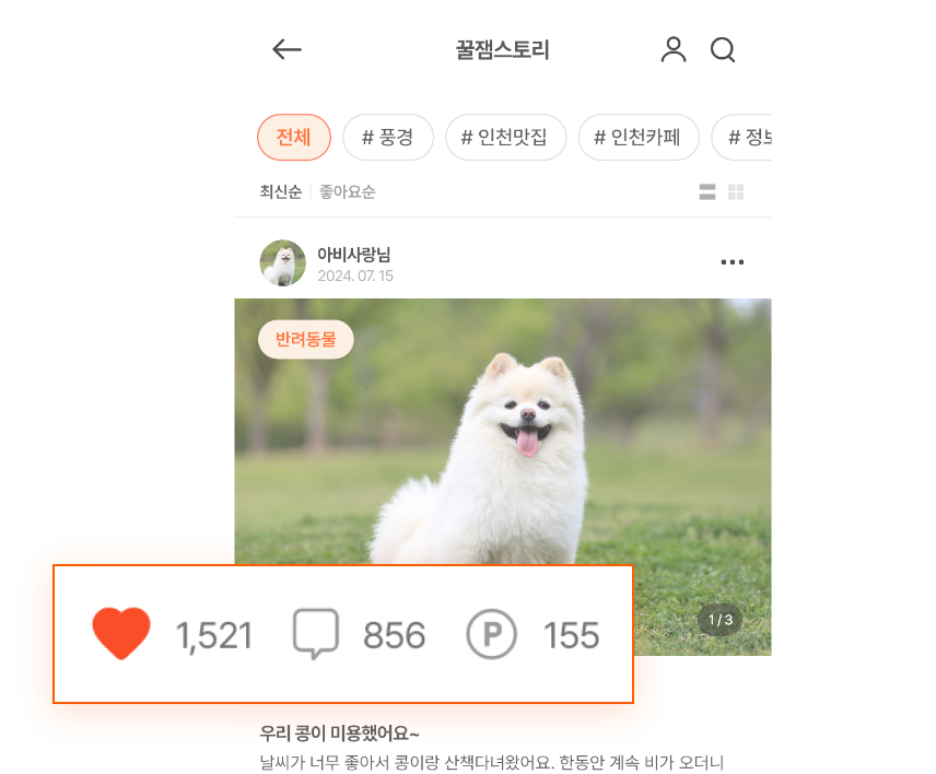 꿀잼 앱 화면 1